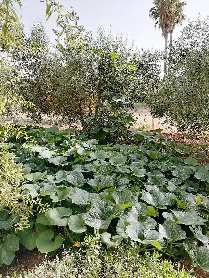 Masia Rosalia L'Aldea