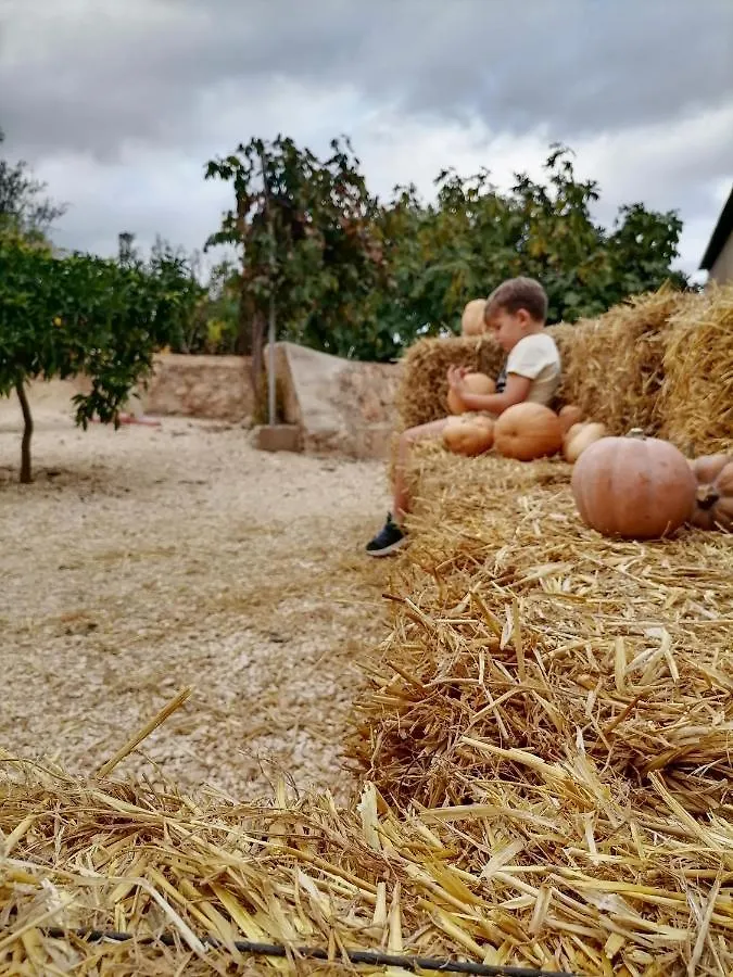 Masia Rosalia L'Aldea Сasa de vacaciones